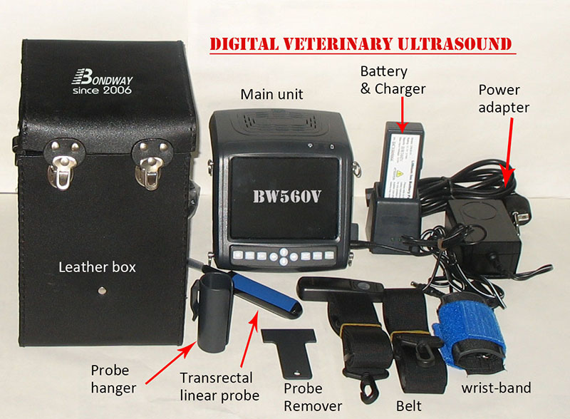 Veterinary ultrasound BW560V
